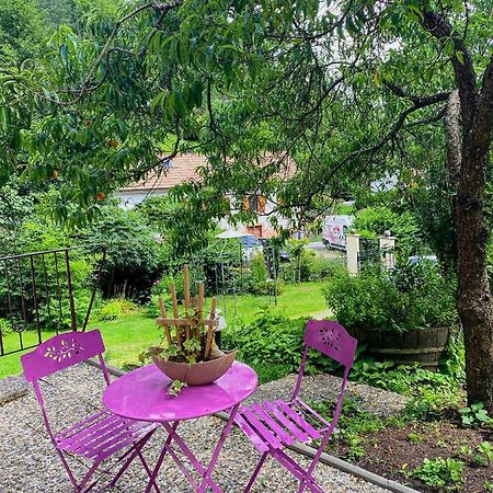 La Araucania, 2 Personnes - Wifi Rombach-le-Franc Dış mekan fotoğraf