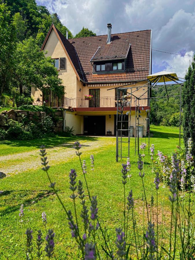 La Araucania, 2 Personnes - Wifi Rombach-le-Franc Dış mekan fotoğraf